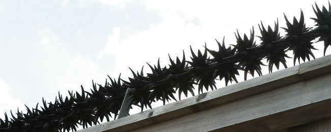 Système de protection Bordure défensive anti escalade simple et efficace